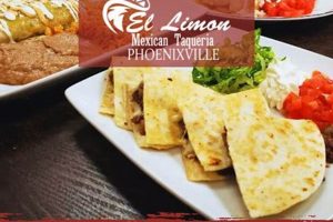 Authentic Mexican Food Phoenixville: Your Guide! World’s Most Delicious Foods: Must-Try Dishes from Every Country Authentic Mexican Food Phoenixville: Your Guide! | World’s Most Delicious Foods: Must-Try Dishes from Every Country