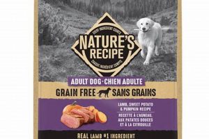 Best Lamb Dry Nature Dog Food Grain Free for Health! | World’s Most Delicious Foods: Must-Try Dishes from Every Country