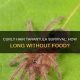 Tarantula Fasting: How Long Can They Live Without Food? | World’s Most Delicious Foods: Must-Try Dishes from Every Country
