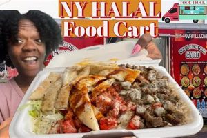 Best Food Trucks in Queens, NY: Find Your Flavor! | World’s Most Delicious Foods: Must-Try Dishes from Every Country