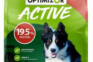 Fueling Active Dogs: Best Active Dog Food Choices | World’s Most Delicious Foods: Must-Try Dishes from Every Country