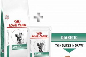 Best Diabetic Cat Food Dry: Diet & Health Tips World’s Most Delicious Foods: Must-Try Dishes from Every Country Best Diabetic Cat Food Dry: Diet & Health Tips | World’s Most Delicious Foods: Must-Try Dishes from Every Country