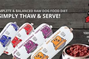 Is K9 Kraving Raw Dog Food Right For Your Dog? | World’s Most Delicious Foods: Must-Try Dishes from Every Country