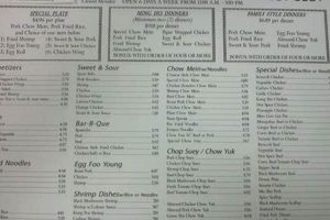 Ming Ho Kitchen: Chinese Food To Go Menu &amp; More! | World’s Most Delicious Foods: Must-Try Dishes from Every Country