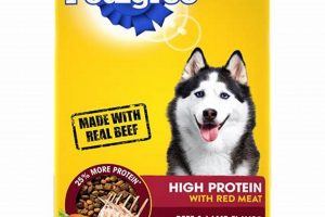 Best Dog Food Beef: Your Pup's Healthy Choice! | World’s Most Delicious Foods: Must-Try Dishes from Every Country