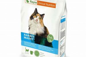 Rayne Cat Food: Special Diet for Healthier Cats | World’s Most Delicious Foods: Must-Try Dishes from Every Country