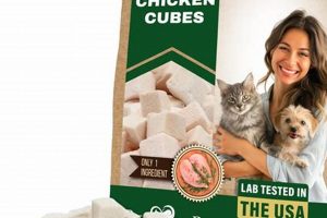 Best Freeze Dried Food for Cats: Review & Benefits | World’s Most Delicious Foods: Must-Try Dishes from Every Country