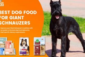 Guide: Best Puppy Food for Giant Schnauzers (Healthy Pups!) | World’s Most Delicious Foods: Must-Try Dishes from Every Country
