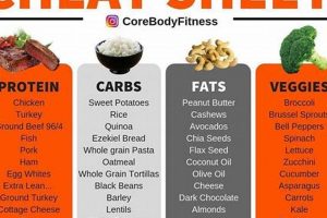 Guide to Best Fast Food Macros: Eat Smart On-the-Go! | World’s Most Delicious Foods: Must-Try Dishes from Every Country