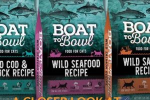 Best Boat to Bowl Cat Food Reviews: Your Cat Will Love! | World’s Most Delicious Foods: Must-Try Dishes from Every Country