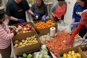 Find a Food Pantry in South Bend, IN: Your Guide | World’s Most Delicious Foods: Must-Try Dishes from Every Country