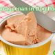 Is Carrageenan in Dog Food Safe? Risks & Alternatives | World’s Most Delicious Foods: Must-Try Dishes from Every Country