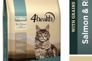 Is 4health Canned Cat Food the Right Choice? + Review | World’s Most Delicious Foods: Must-Try Dishes from Every Country