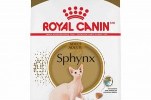 Best Sphynx Cat Food: Healthy Diet Tips & Brands | World’s Most Delicious Foods: Must-Try Dishes from Every Country