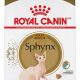 Best Sphynx Cat Food: Healthy Diet Tips & Brands | World’s Most Delicious Foods: Must-Try Dishes from Every Country