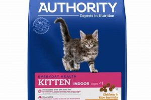 Authority Cat Food: Is It Really Good For Your Cat? World’s Most Delicious Foods: Must-Try Dishes from Every Country Authority Cat Food: Is It Really Good For Your Cat? | World’s Most Delicious Foods: Must-Try Dishes from Every Country