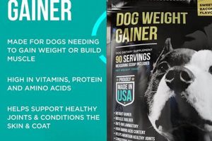Best Dog Food That Helps With Weight Gain - Guide &amp; Tips | World’s Most Delicious Foods: Must-Try Dishes from Every Country