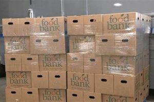 Your Local Binghamton Food Bank: Fight Hunger Now | World’s Most Delicious Foods: Must-Try Dishes from Every Country