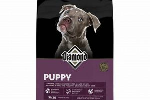 Diamond Puppy Food Reviews: Is It Right For Your Pup? | World’s Most Delicious Foods: Must-Try Dishes from Every Country