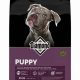 Diamond Puppy Food Reviews: Is It Right For Your Pup? | World’s Most Delicious Foods: Must-Try Dishes from Every Country
