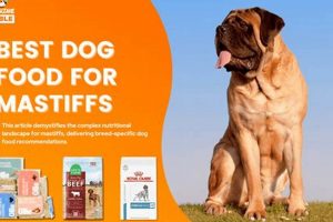 Top Dog Food: Best Food for English Mastiff Puppies Guide | World’s Most Delicious Foods: Must-Try Dishes from Every Country