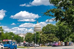 Guide to Capitol Hill Food Trucks: Best Eats + Locations | World’s Most Delicious Foods: Must-Try Dishes from Every Country