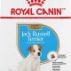 Top Rated: Best Dog Food for Jack Russell Dog - Guide | World’s Most Delicious Foods: Must-Try Dishes from Every Country