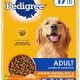 Buy Pedigree Dog Food Pallet: Bulk Savings for Happy Dogs! | World’s Most Delicious Foods: Must-Try Dishes from Every Country
