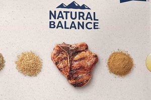 Best Natural Balance Dog Food for Small Breeds - Guide | World’s Most Delicious Foods: Must-Try Dishes from Every Country