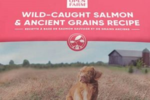 Best Ancient Grain Dog Food: Healthy &amp; Nutritious Diet | World’s Most Delicious Foods: Must-Try Dishes from Every Country