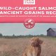 Best Ancient Grain Dog Food: Healthy &amp; Nutritious Diet | World’s Most Delicious Foods: Must-Try Dishes from Every Country