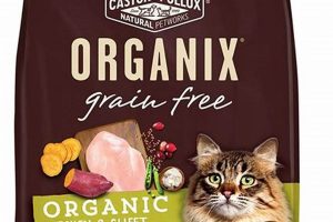 Best Castor & Pollux Cat Food: Health & Wellness | World’s Most Delicious Foods: Must-Try Dishes from Every Country