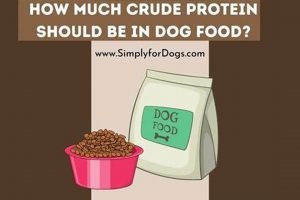 Dog Food: What is Crude Protein? & Why It Matters | World’s Most Delicious Foods: Must-Try Dishes from Every Country