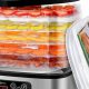 Top-Rated: Best Food Dehydrator for Dog Treats [2024 Guide] | World’s Most Delicious Foods: Must-Try Dishes from Every Country