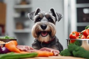 Guide: Best Food for Schnauzers Breed - Top Picks! World’s Most Delicious Foods: Must-Try Dishes from Every Country Guide: Best Food for Schnauzers Breed - Top Picks! | World’s Most Delicious Foods: Must-Try Dishes from Every Country