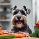 Guide: Best Food for Schnauzers Breed - Top Picks! | World’s Most Delicious Foods: Must-Try Dishes from Every Country