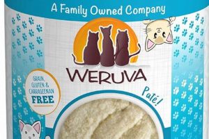 Weruva Wet Cat Food: The Healthy, Hydrating Choice | World’s Most Delicious Foods: Must-Try Dishes from Every Country
