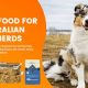 Guide: Best Dog Food for Australian Shepherd Puppy - Health! | World’s Most Delicious Foods: Must-Try Dishes from Every Country