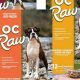Best OC Raw Dog Food Near Me: Local & Fresh! | World’s Most Delicious Foods: Must-Try Dishes from Every Country