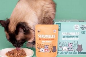 Best Cat Food Pouches: Healthy Meals On-the-Go! | World’s Most Delicious Foods: Must-Try Dishes from Every Country