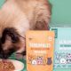Best Cat Food Pouches: Healthy Meals On-the-Go! | World’s Most Delicious Foods: Must-Try Dishes from Every Country