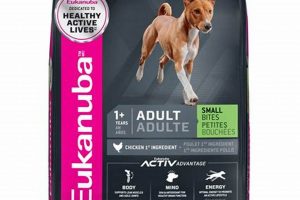 Eukanuba Dog Food: Real Reviews + Is It Right for Your Dog? | World’s Most Delicious Foods: Must-Try Dishes from Every Country