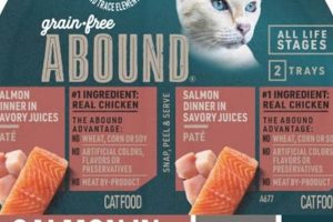 Best Abound Wet Cat Food: Reviews & Feeding Tips | World’s Most Delicious Foods: Must-Try Dishes from Every Country