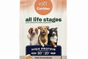 Best All Stages Dog Food: Nutrition for Life | World’s Most Delicious Foods: Must-Try Dishes from Every Country