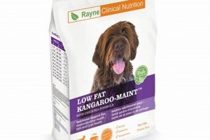Rayne Dog Food Kangaroo: Allergy Relief for Your Dog | World’s Most Delicious Foods: Must-Try Dishes from Every Country