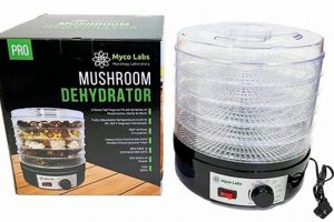 Top-Rated Best Food Dehydrator for Mushrooms: Expert Guide | World’s Most Delicious Foods: Must-Try Dishes from Every Country