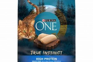 Fueling Felines: Natural Instinct Cat Food Benefits + Guide | World’s Most Delicious Foods: Must-Try Dishes from Every Country