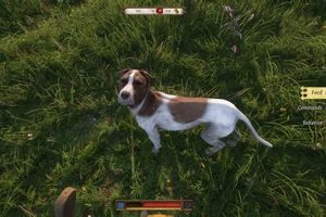 Best Deals! Come Get It Dog Food Now & Save $$ | World’s Most Delicious Foods: Must-Try Dishes from Every Country