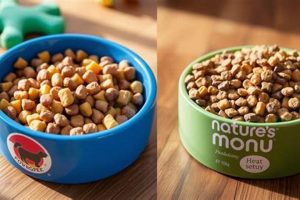 Best Dry Dog Food: Pedigree vs Nature's Menu? | World’s Most Delicious Foods: Must-Try Dishes from Every Country