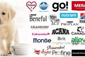 Best Korean Dog Food Brands: A Top-Rated Guide | World’s Most Delicious Foods: Must-Try Dishes from Every Country